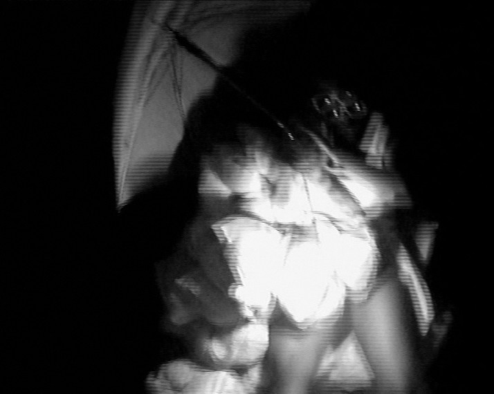 Artwork by Dineo Seshee Bopape